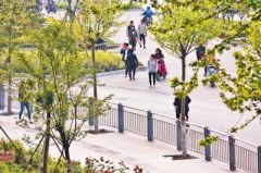 郑州金水路与未来路人行道被护栏围起 大多市民跨栏通过