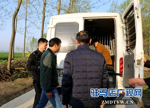 许某被带上警车.jpg