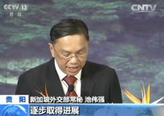 “南海行为准则”框架通过 如何影响南海局势？