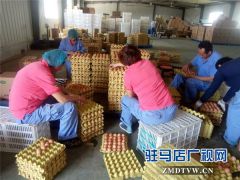 商标注册达人——“乡下老婆”李威情系三农的执着情怀