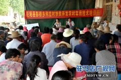 正阳县：农村实用技术培训班助推脱贫攻坚