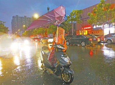 暴风雨昨晚突袭我市 24小时降温10度左右