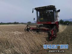驻村书记与村委班子帮扶贫困户抢收抢种
