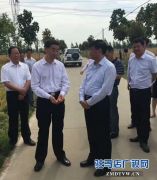 王铁莅驻查看小麦倒伏情况  调研指导三夏生产