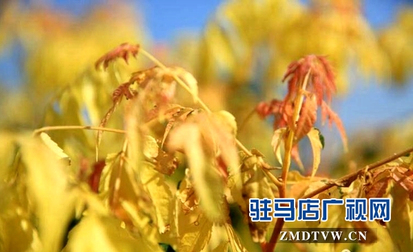 QQ图片20170602120558.jpg