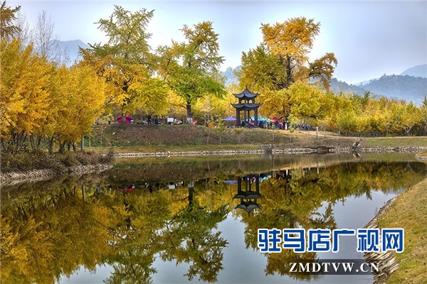 041702444o5m.jpg