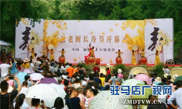 6月3日五老树长寿节开幕式精彩表演.jpg