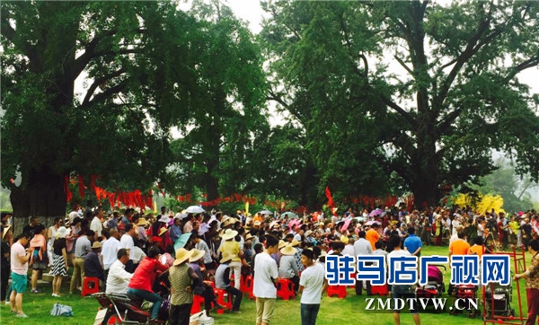 6月3日五老树长寿节开幕式现场、.jpg