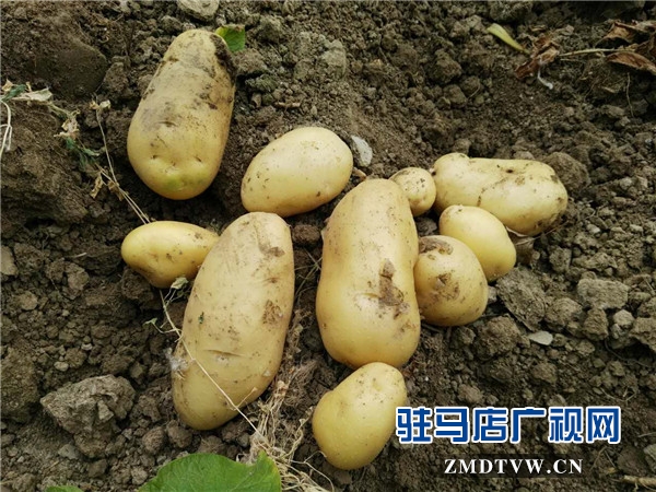 微信图片_20170605105546.jpg