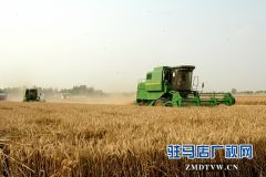 上蔡小麦抢收忙  确保颗粒都归仓