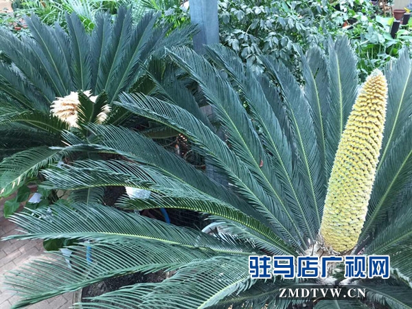 微信图片_20170606174151.jpg