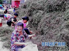 “牛抵头”让农家妇女家门口巧挣钱
