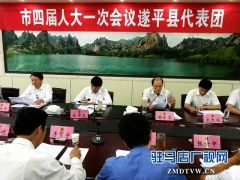 各代表团热烈讨论审议政府工作报告