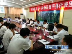 陈星参加西平县代表团讨论