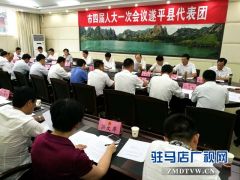 余学友参加遂平县代表团审议