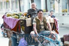 郑州瓜农带着八旬父亲去卖瓜，看完湿了眼眶