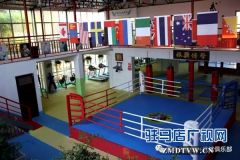 来振兴武馆让你体质“一夏”提高