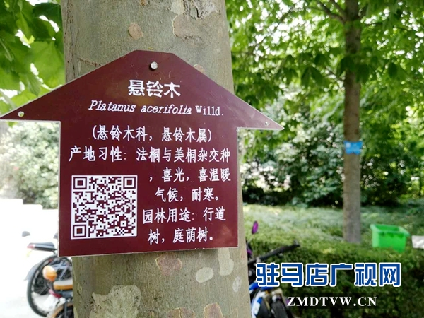 微信图片_20170620152745.jpg
