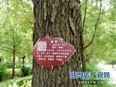 黄淮学院600棵树木有了二维码“身份证”