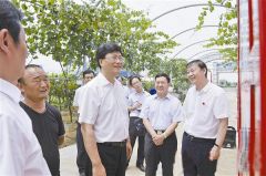 王炯：建立长效机制 聚焦精准 抓细抓实 确保稳定持续脱贫