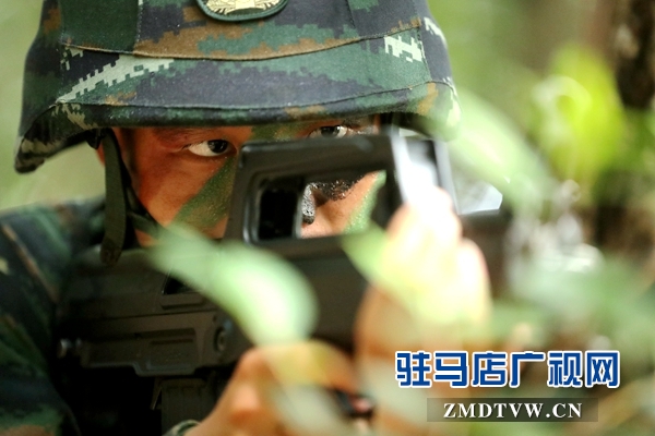 AH6I3079.JPG