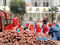 爱心企业义买100吨滞销洋葱送给环卫工