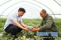 一心为民办好事办实事——上蔡县邵店镇后杨村第一书记李勇