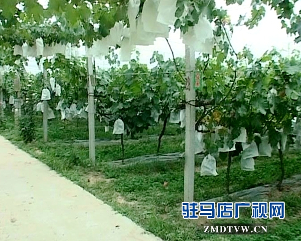 暴风截图2015810545816_副本.jpg