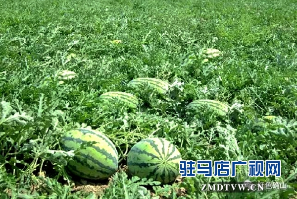 微信图片_20170630172056.jpg