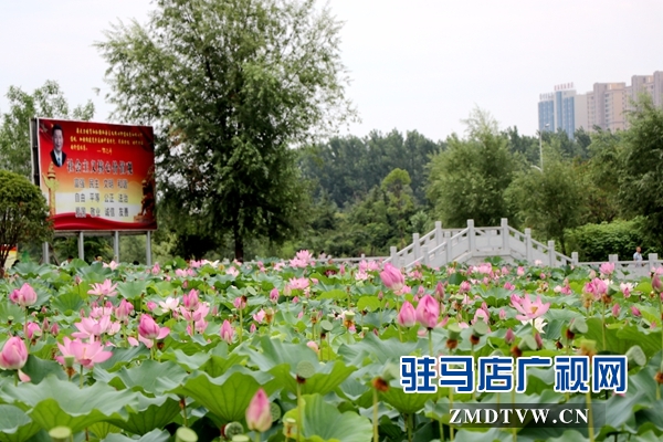 微信图片_20170706170717.jpg
