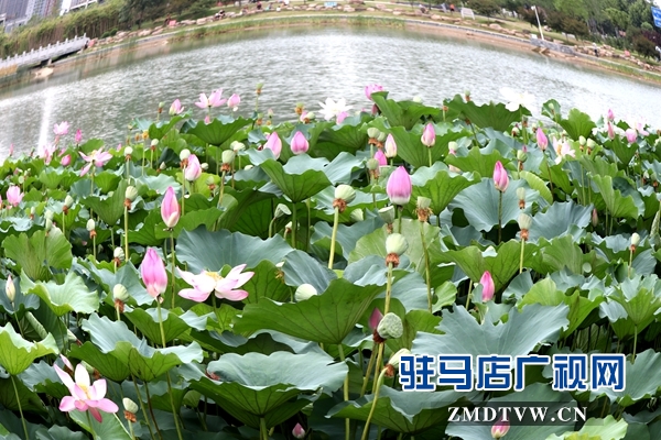 微信图片_20170706170650.jpg