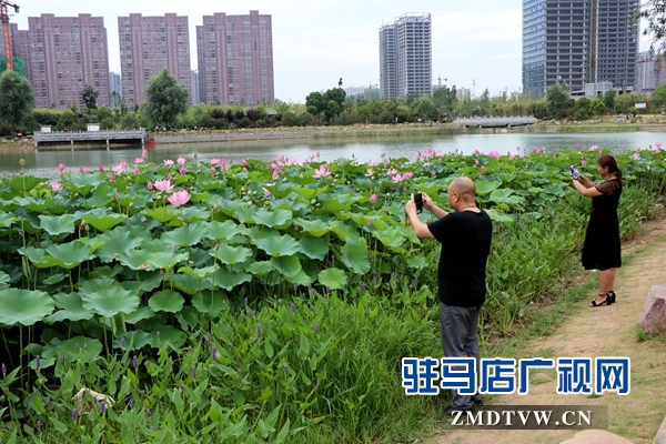 微信图片_20170706170737.jpg