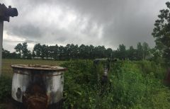 久旱逢甘霖 河南网友镜头下的雨中世界