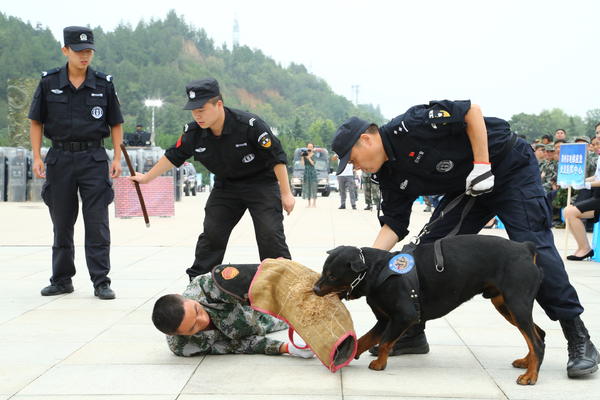 郑州警方反暴恐演练 派出“虎式”装甲车