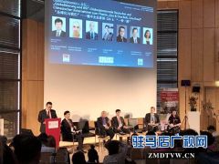 蔡云飞：中国传统文化是推进世界团结和谐发展的基础