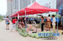 2017驻马店首届瓦岗爱心西瓜节开幕