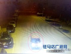 狡猾盗车贼竟然专偷这个牌子的电动四轮车