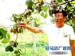 汝南县古塔街道“扶贫果”长势喜人