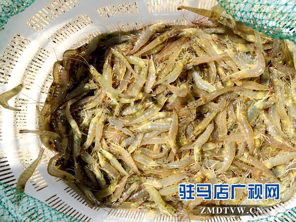 微信图片_20170720083236.jpg