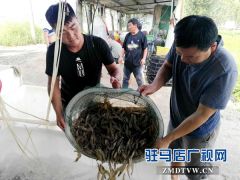 新兴水产养殖助力精准扶贫
