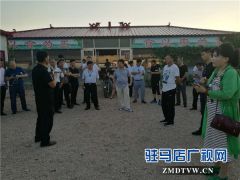  驻马店市企业家协会50余名企业家到富强种植家庭农场观摩品尝浇豆浆的葡萄