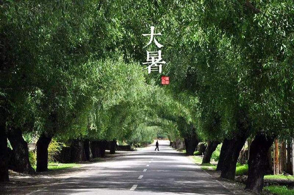 今年高温创半世纪来第三高 今日大暑+中伏气温将继续升高