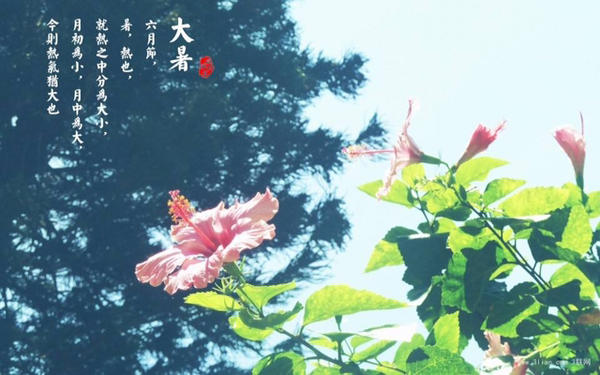 今年高温创半世纪来第三高 今日大暑+中伏气温将继续升高