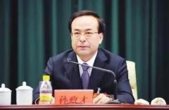 孙政才涉嫌严重违纪问题被立案审查