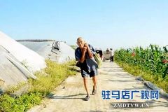 上蔡县张王楼村37户贫困户吃到“甜蜜瓜”