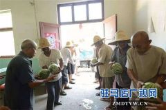  上蔡县银恒种植专业合作针对张王楼村贫困户专门设置西瓜免费采摘日