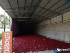 搭乘网络快车 确山电子商务助力脱贫攻坚