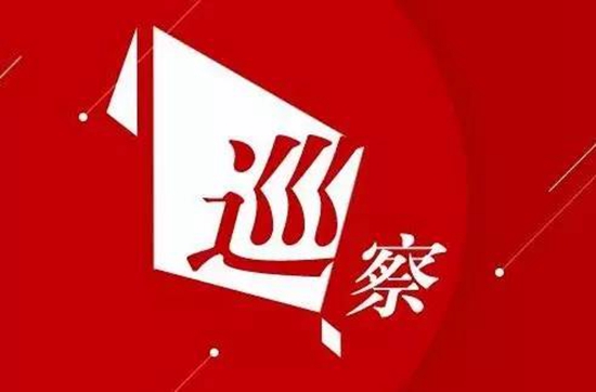 市委巡察组向四届市委第二轮被巡察单位反馈情况
