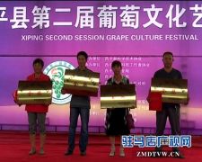 西平县举办第二届葡萄文化艺术节