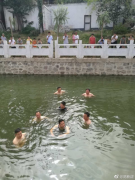 河南一市长下污水河游泳体验水质 网友质疑为作秀